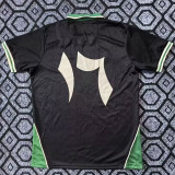 25/26 Palestine Arabic Special Edition Black &Ｇreen No#17 Fans Soccer Jersey(绿领)