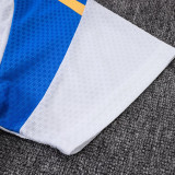 25/26 AD Blue Player Version Training Short Suit#D2505