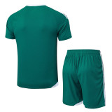 25/26 AD Green Player Version Training Short Suit#D2506