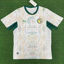 25/26 Senegal Home Fans Soccer Jersey