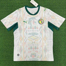 25/26 Senegal Home Fans Soccer Jersey