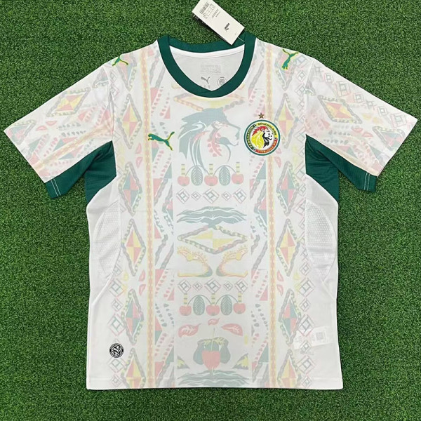 25/26 Senegal Home Fans Soccer Jersey