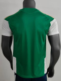 26/27 Italy Green Training Shirts