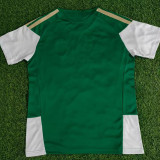 26/27 Italy Green Training Shirts