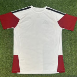 26/27 Germany White Training Shirts