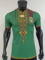 25/26 Mali Special Edition Green Player Version Soccer Jersey