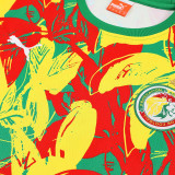 26/27 Senegal Green Training Shorts Suit
