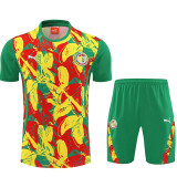 26/27 Senegal Green Training Shorts Suit