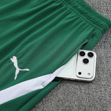 26/27 Ivory Coast Green Training Shorts Suit