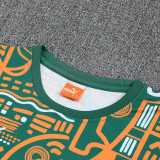 26/27 Ivory Coast Green Training Shorts Suit