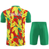 26/27 Senegal Green Training Shorts Suit