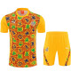 26/27 Ghana Yellow Training Shorts Suit