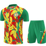 26/27 Senegal Green Training Shorts Suit