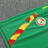26/27 Senegal Green Training Shorts Suit