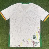 26/27 Cameroon Away Fans Soccer Jersey