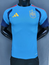 26/27 Spain Blue Player Version Training Shirts球员版