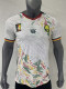 26/27 Cameroon Away Player Version Soccer Jersey