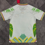25/26 Mali Third Fans Soccer Jersey