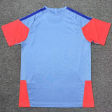 26/27 Japan Grey Training Shirts