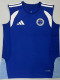 26/27 Cruzeiro Blue Training vest