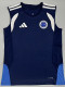 26/27 Cruzeiro Royal Blue Training vest