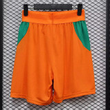 26/27 Ivory Coast Yellow Player Version Shorts Pants