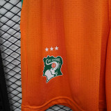 26/27 Ivory Coast Yellow Player Version Shorts Pants