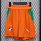26/27 Ivory Coast Yellow Player Version Shorts Pants