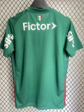26/27 Palmeiras Home Fans Soccer Jersey(Print all sponsors)广告版