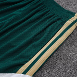 26/27 Italy Green Player Version Shorts Pants#D2603