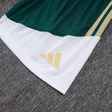 26/27 Italy Green Player Version Shorts Pants#D2603