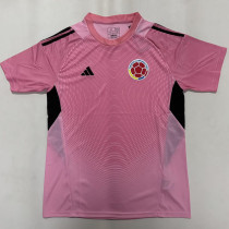 26/27 Colombia Goalkeeper Pink Fans Soccer Jersey