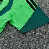 26/27 Mexico Green Training Short Suit