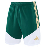 26/27 Italy Green Training Short Suit