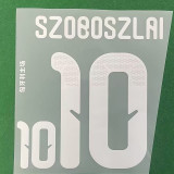 25/26 Hungary  Home Fans Soccer Jersey