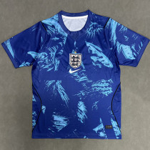 26/27 England Goalkeeper Blue Fans Soccer Jersey