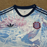 25/26 Costa Rica Away Fans Soccer Jersey