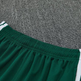 26/27 Algeria Green Training Shorts Suit