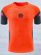 25/26 Bayern Orange Player Version Training Shirts