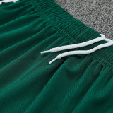 26/27 Algeria Green Training Shorts Suit