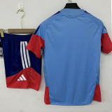 26/27 Japan Grey Training Short Suit