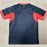 25/26 LIV Dark Blue Training Shirts