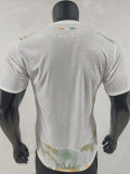 26/27 Ivory Coast Away Player Version Soccer Jersey