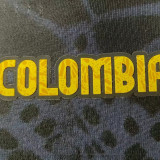 26/27 Colombia World Cup Commemorative Edition Grey Player Version Soccer Jersey