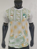 26/27 Ivory Coast Away Player Version Soccer Jersey