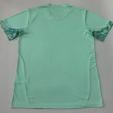 26/27 Palmeiras Goalkeeper Green Fans Soccer Jersey