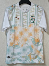 26/27 Ivory Coast Away Fans Soccer Jersey