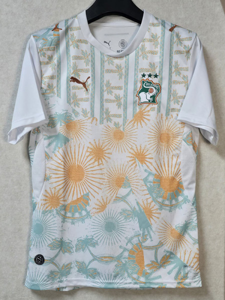 26/27 Ivory Coast Away Fans Soccer Jersey