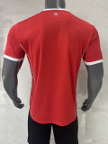 26/27 Egypt Special Edition Red Fans Soccer Jersey