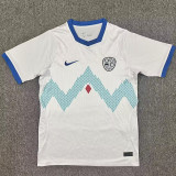 26/27 Slovenia Away Fans Soccer Jersey
